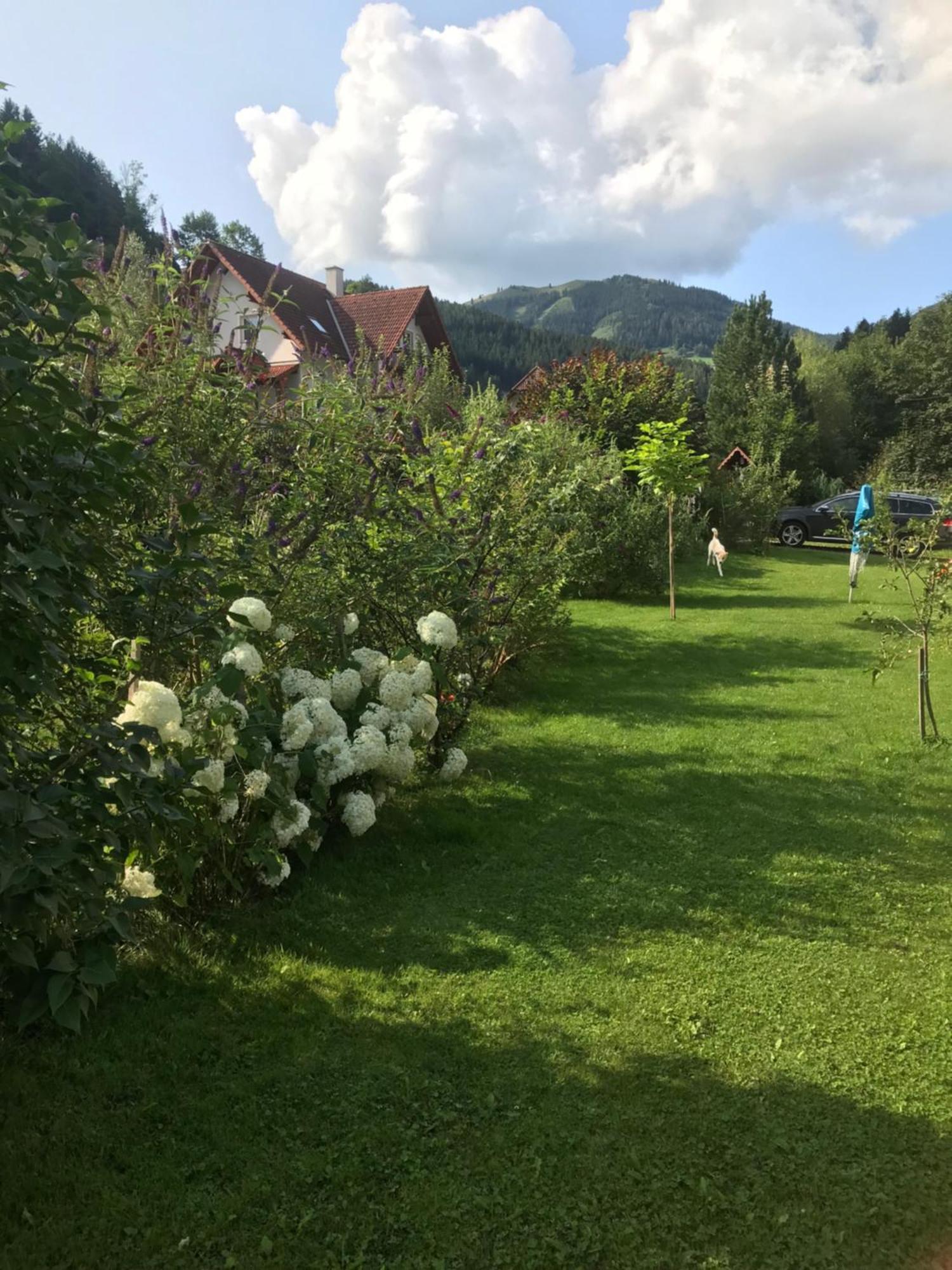 Haus Almblick Gasen