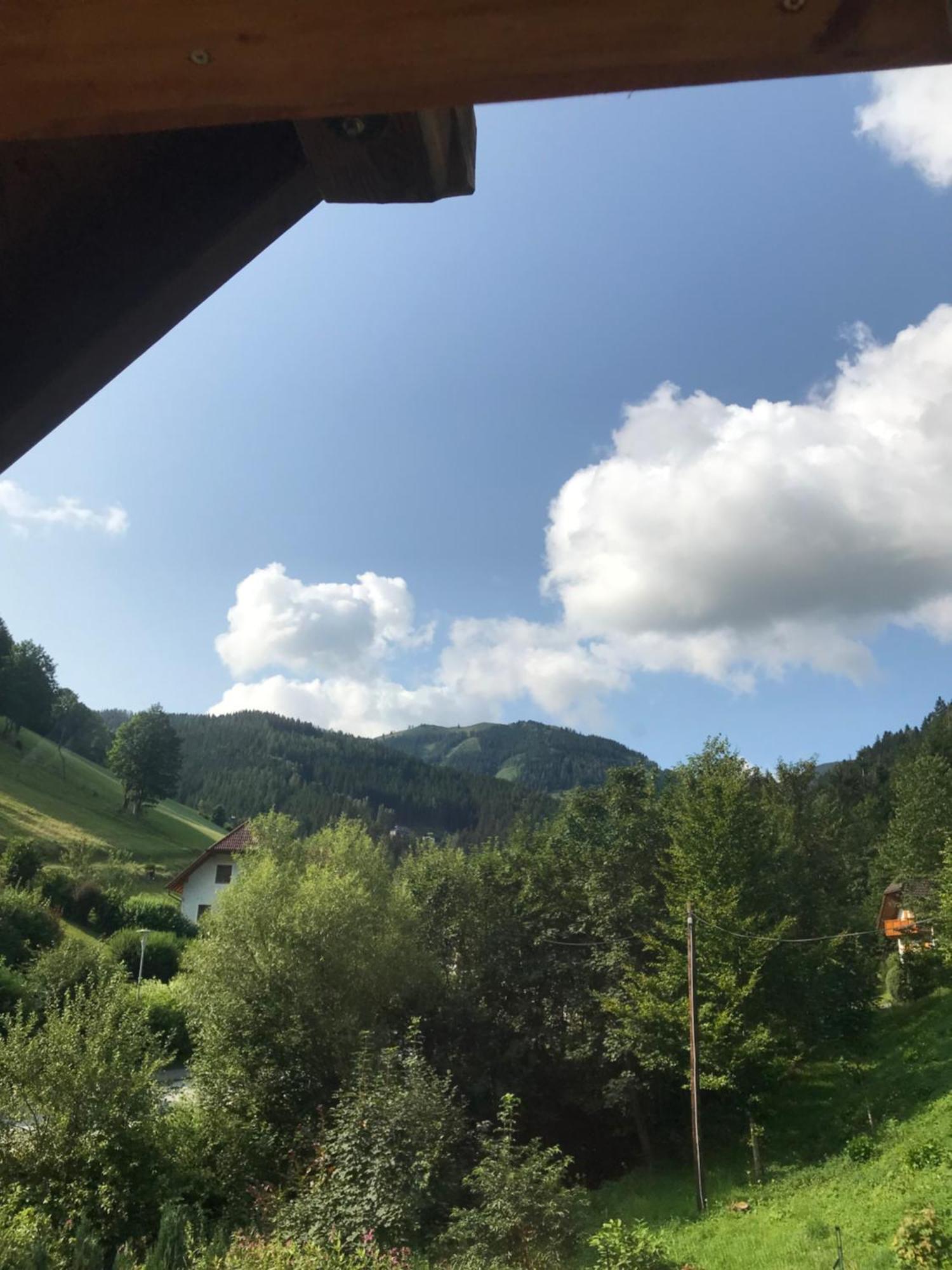 Apartment Haus Almblick Gasen
