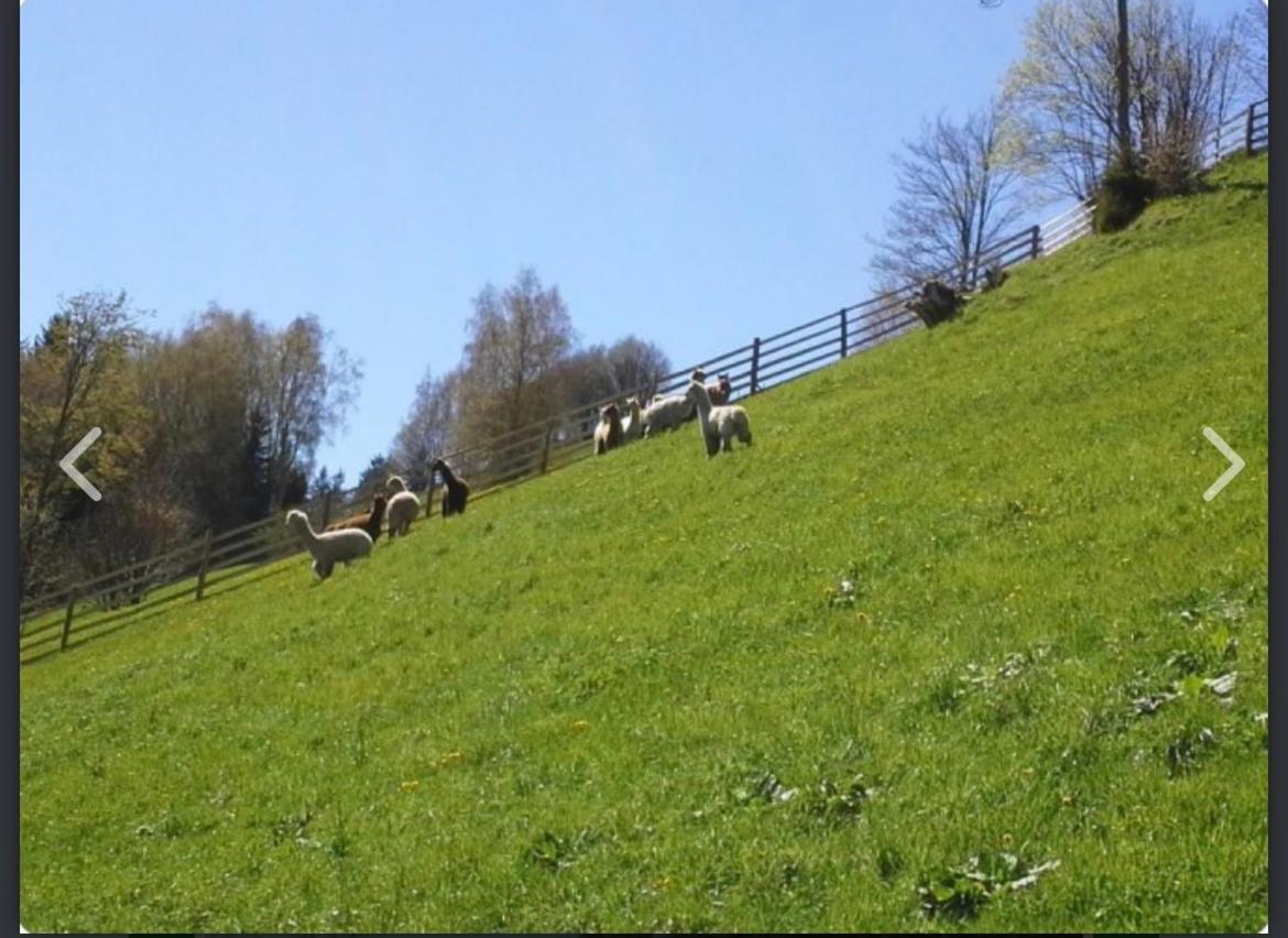 Haus Almblick Gasen
